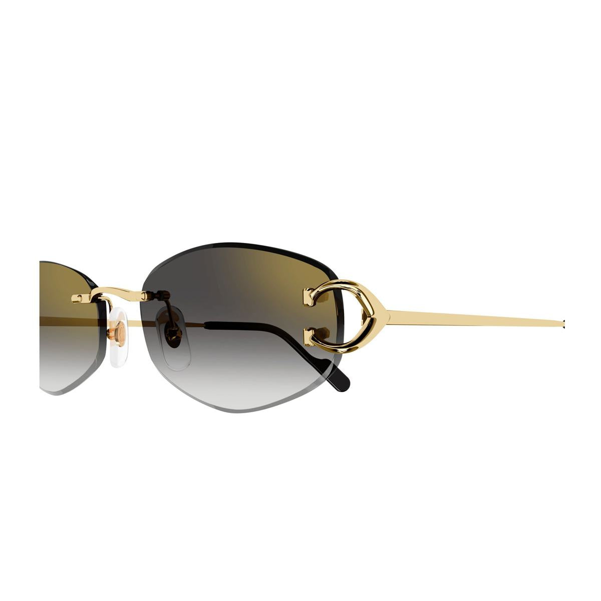 Cartier solglasögon