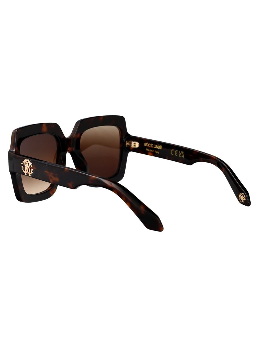 Roberto Cavalli solglasögon
