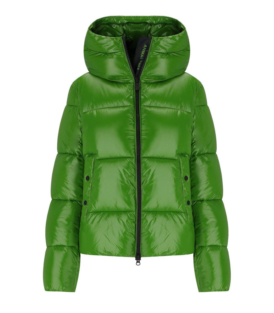 Save The Duck Biddy Grön Vadderad Jacka med Hood