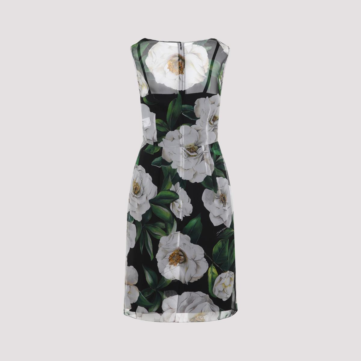 Dolce & Gabbana Klänning