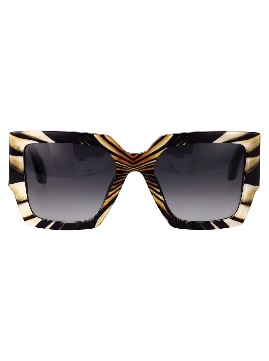 Roberto Cavalli solglasögon