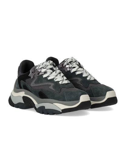 Ash Addict Grå Sneaker