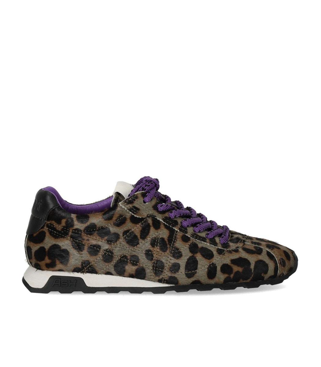 Ash Kill Bill Leopard Sneaker