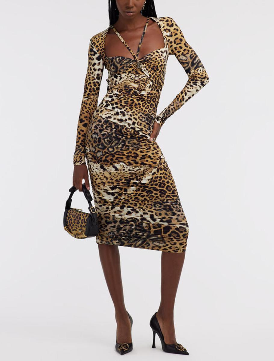 Roberto Cavalli-klänningar